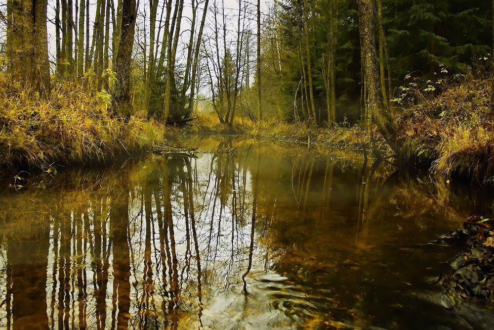 Ich schwärmte zu den Knien im Herbst ...