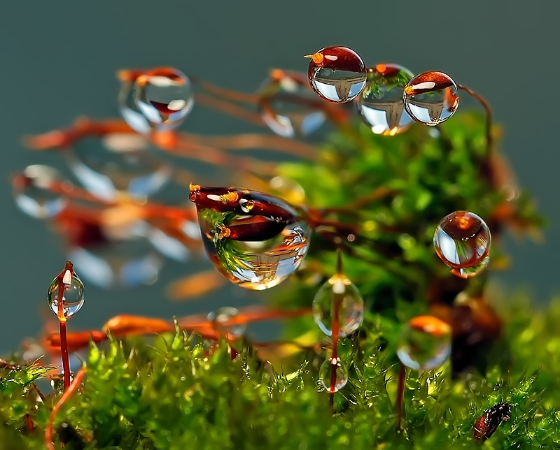 Durch die Augen von Fenstern ...