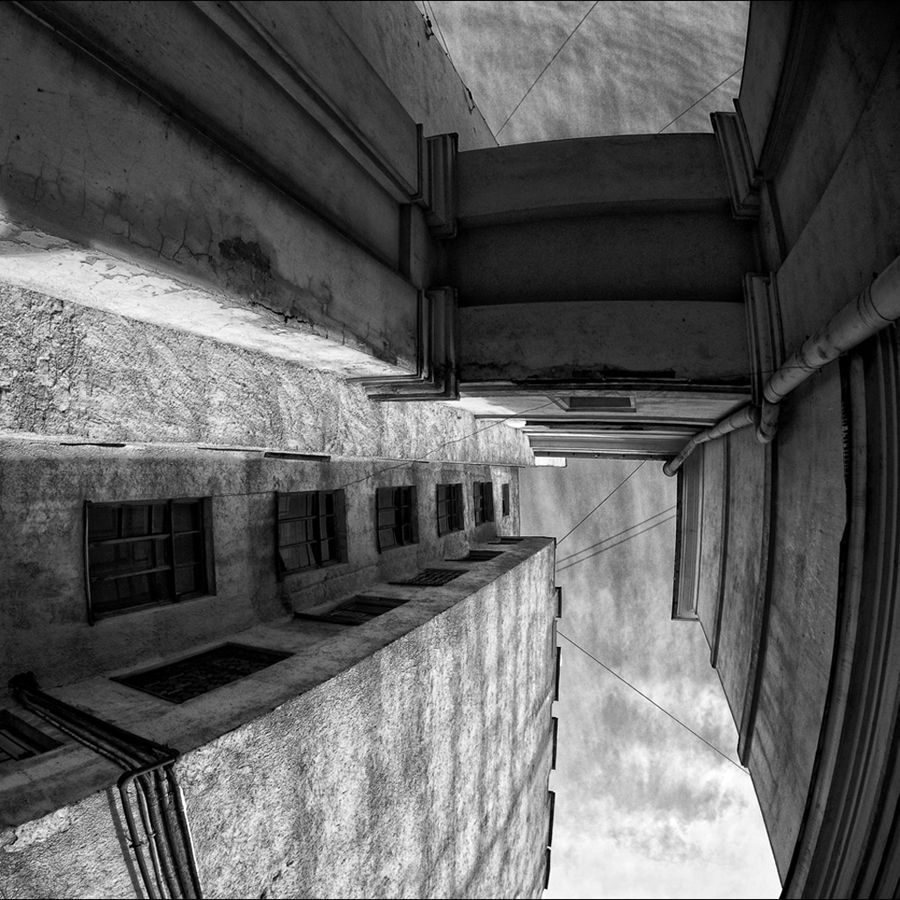 Anatomie eines einzigen Bogen