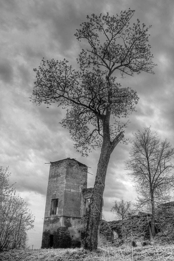 Chorny Zamak galshanski