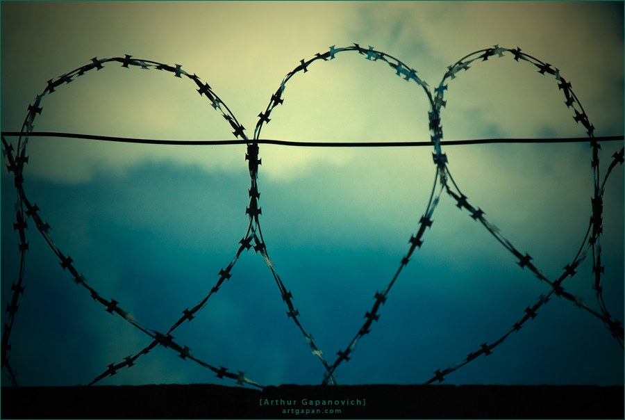 [これら の さまざま な 心]