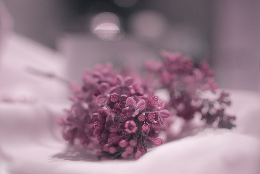 Morgendämmerung Glückseligkeit