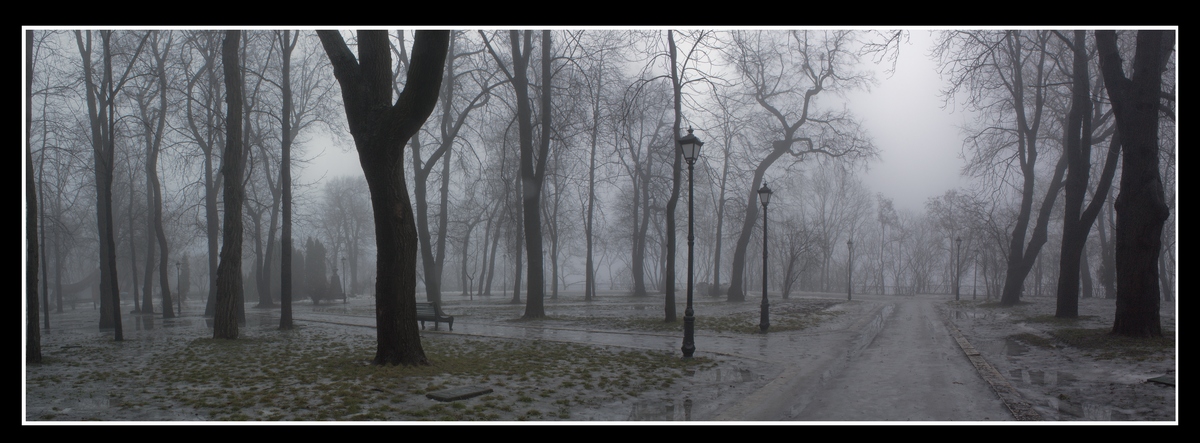 Winter Nebel ich