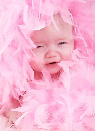 Miracle in den Federn