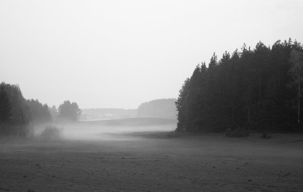 Morgen in der Nähe Minsk