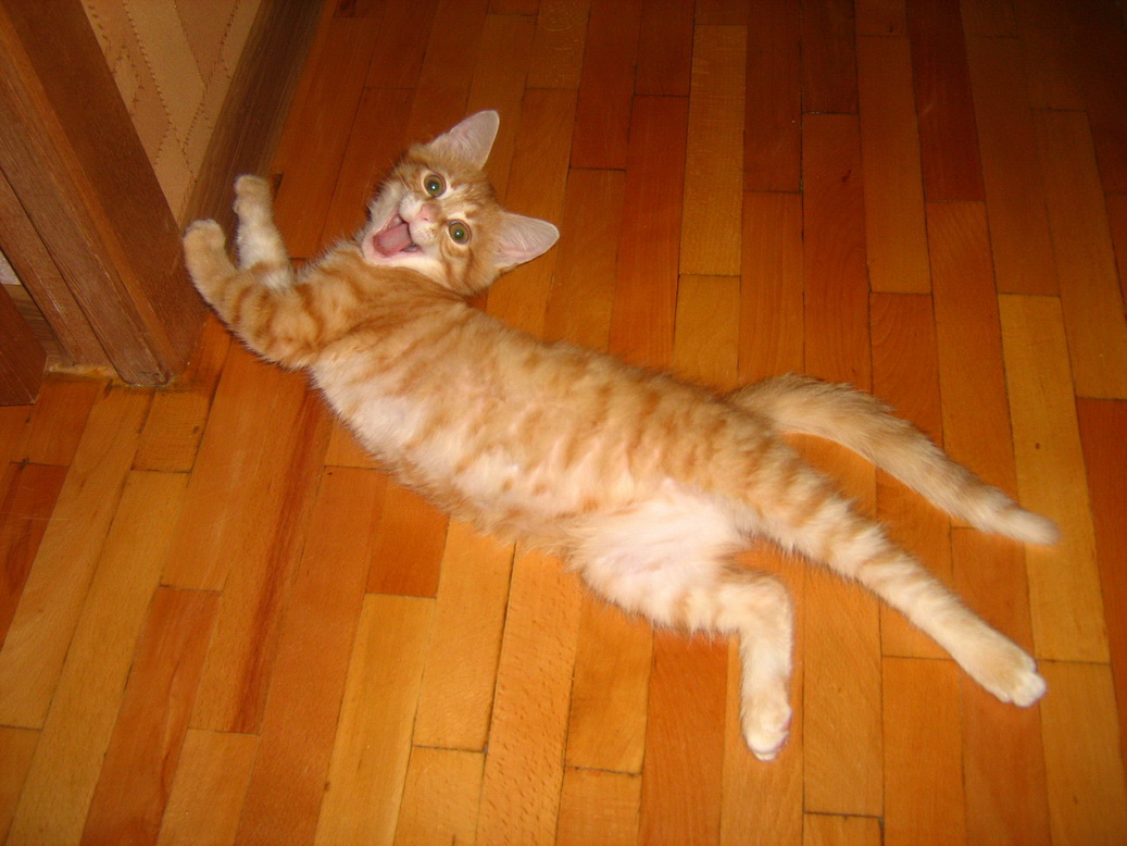 Turn-und Rückseiten