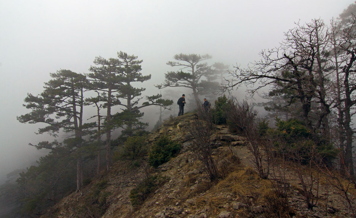 Am Südhang des Ai-Petri