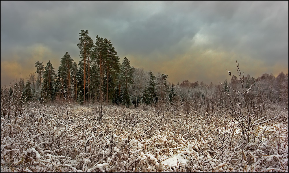 Der Winter ist wie ein Traum.