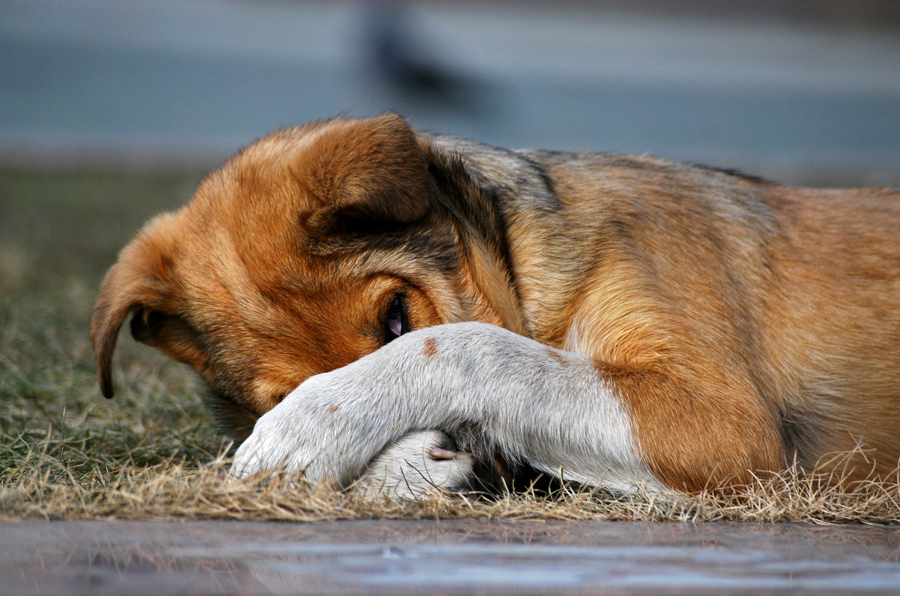 Ja, weiß ich nicht aussehen!