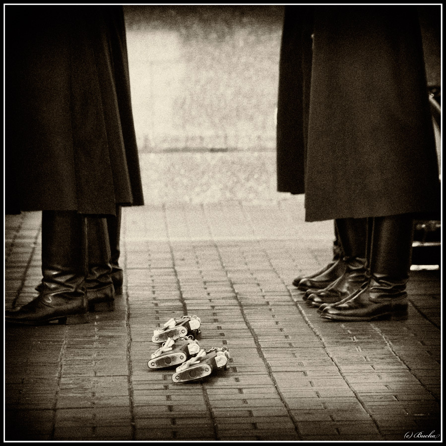 "A Farewell to Arms ..."