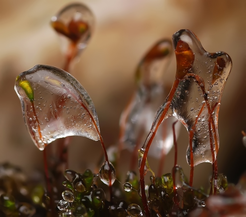Sehenswürdigkeiten der Frühling ..