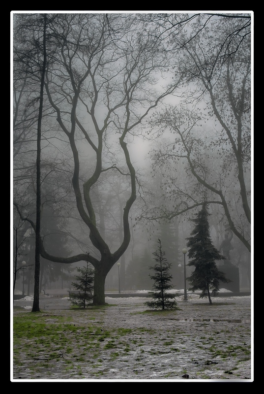 Auf der gekrümmten und ebenen