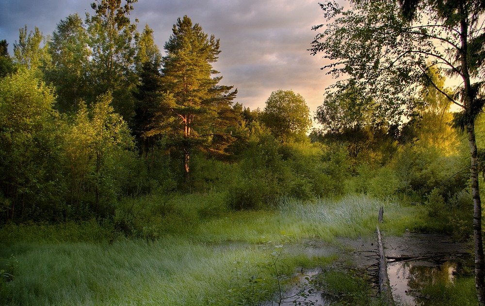 Zarte Farben in den Morgen ...