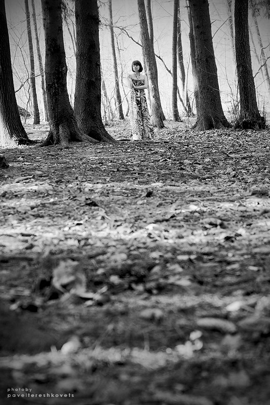 [Der Geschmack von Minze. Streufall Blätter}