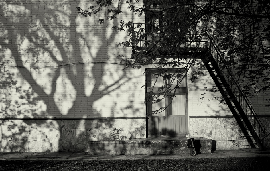 Wenn die Bäume waren hoch