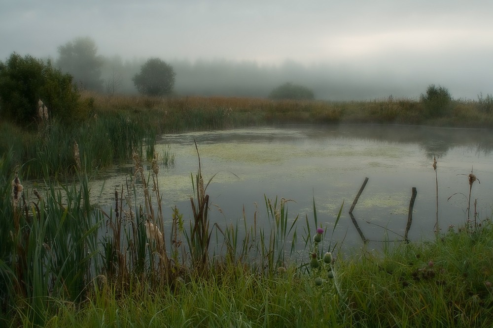 Warten auf den Sonnenaufgang.