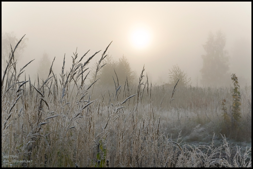 Frosty Morgen.