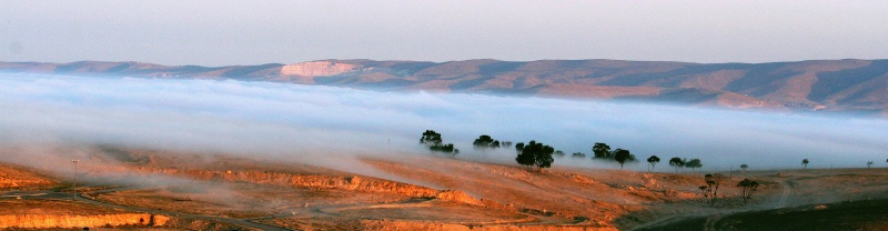 Nebligen Morgen .... ...