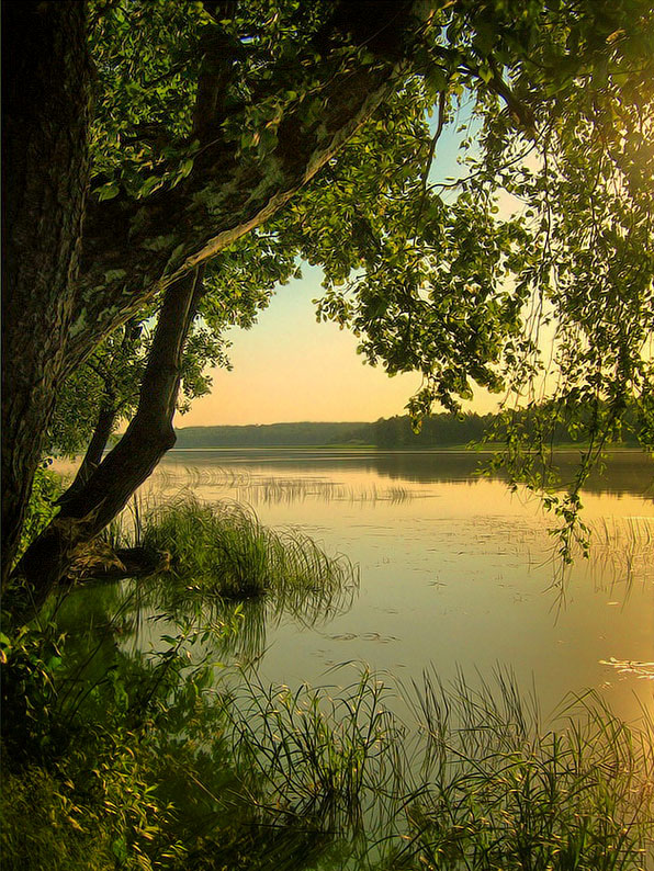 Und ich habe eure Seelen zu den Anfängen links ...