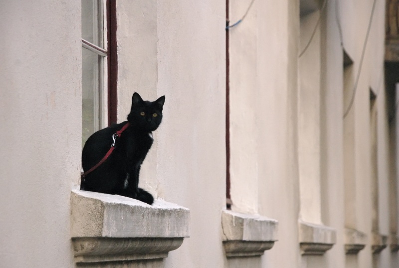 nicht ein einsames Fenster