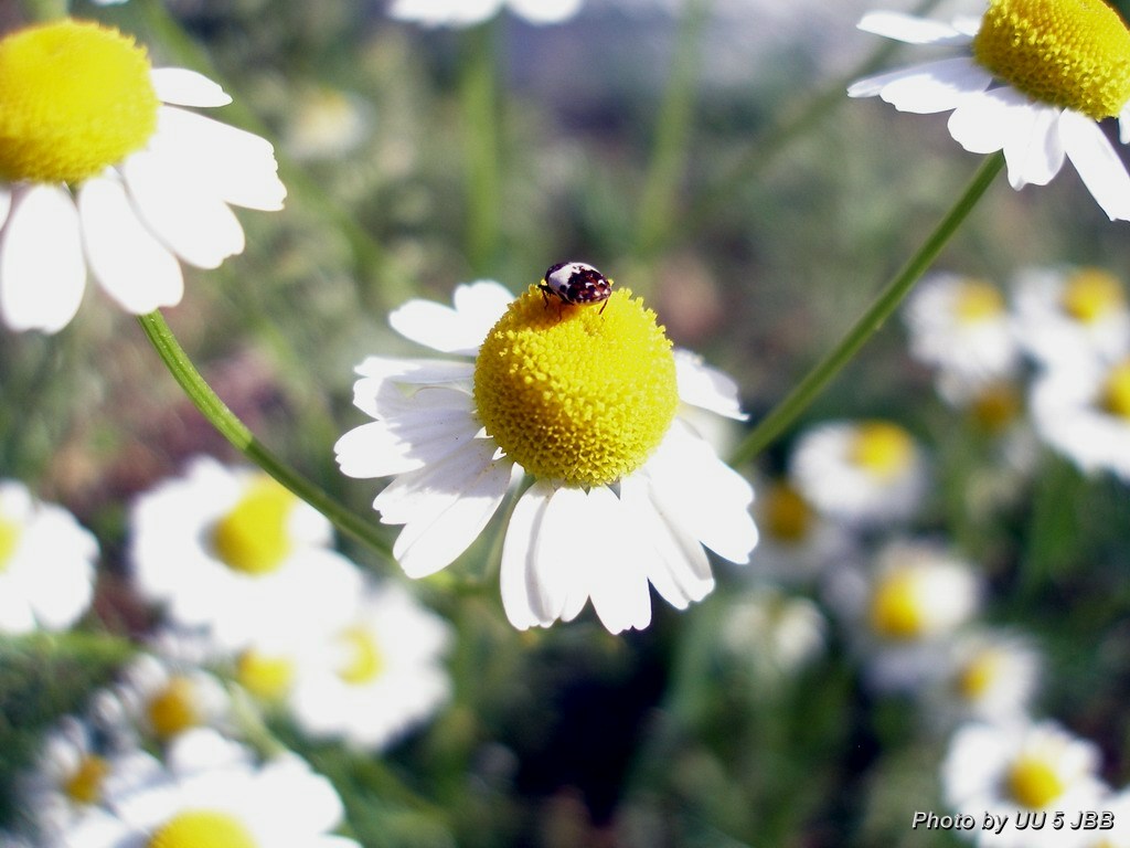 Es ist eine kleine Welt.