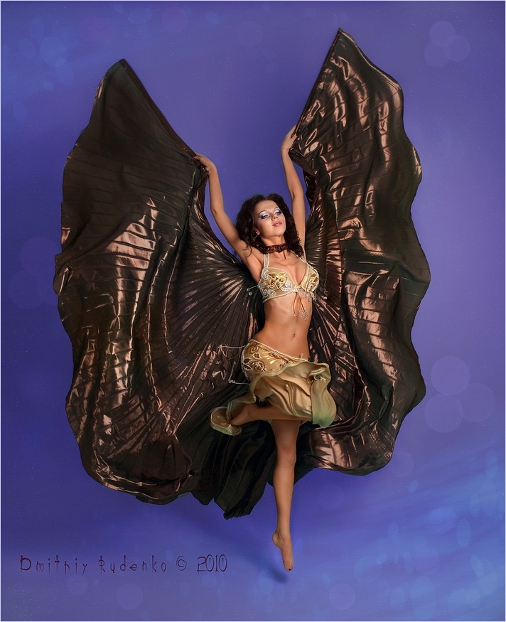 Auf den Flügeln der Nacht