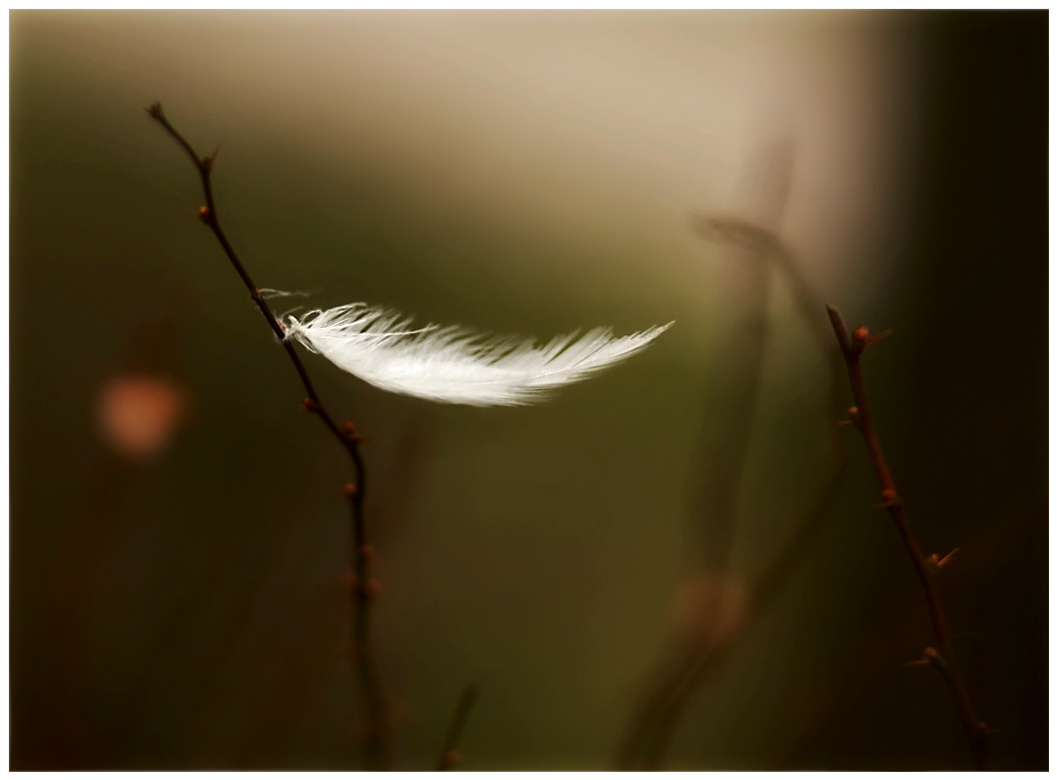 Lassen Sie mich gehen, hörst du? Ohne den Himmel Ich habe sterben ..