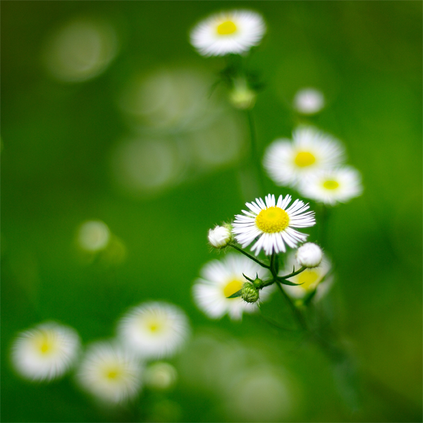 Auf dem Weg zum Tilimilitryamdiyu