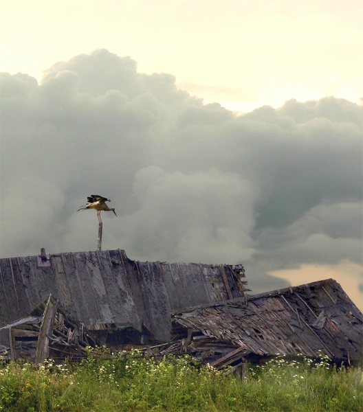 Die letzte Bewohnerin