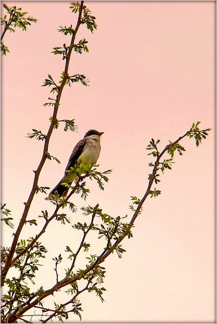 Kalender Stimmung. Songs