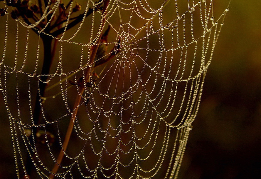 Und Zeit in CONSTELLATION DEW eingefroren ...