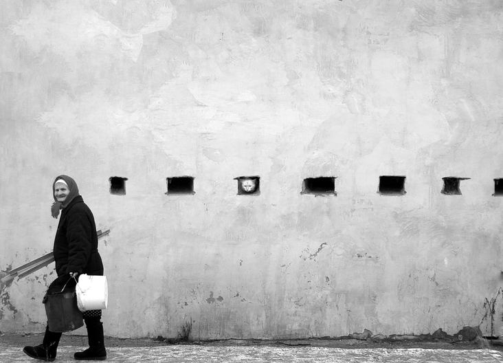 lustig Oma und die Katze