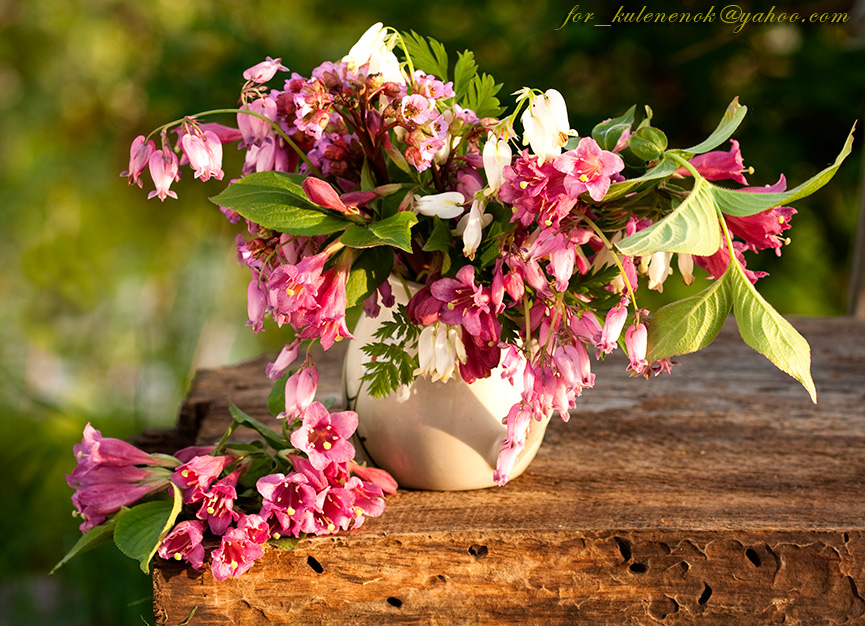 Bouquet des Frühlings.