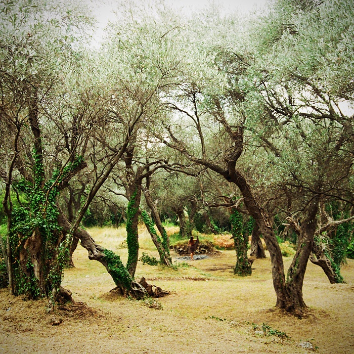 A place where sun lives