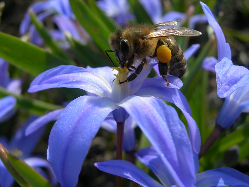 Nicht ablenken .....