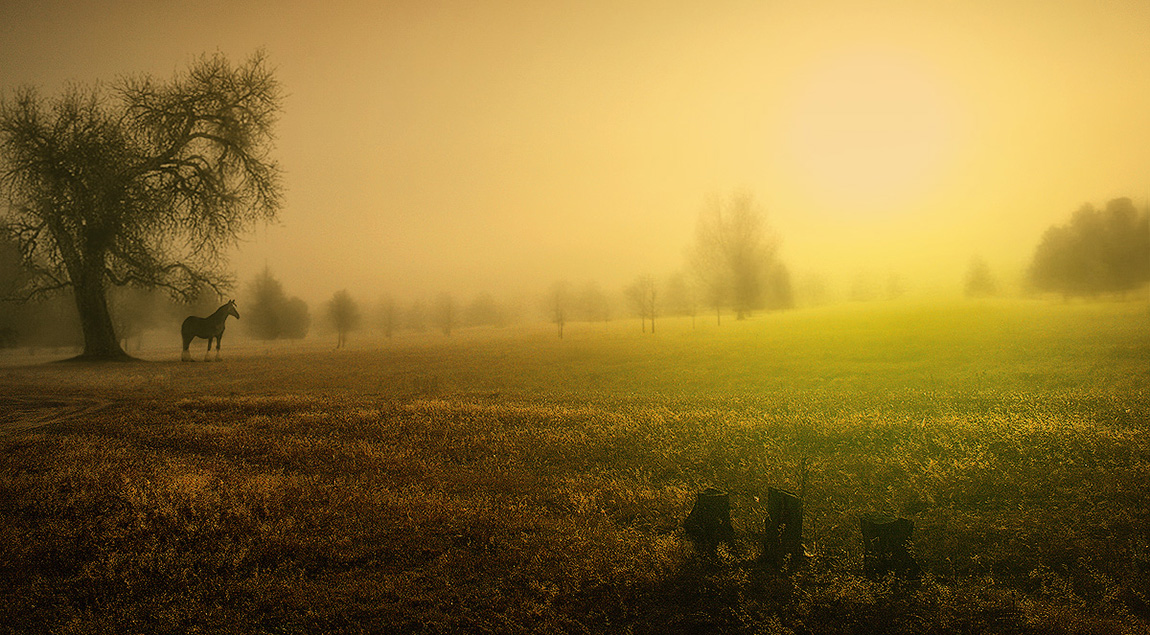 ABSCHIED auf eine einsame Pferd mit der Last Dawn