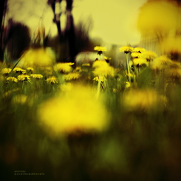 [Angst. Stunden vor dem Sturm}