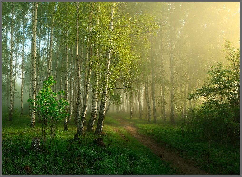 Der Nebel geht langsam weg ..