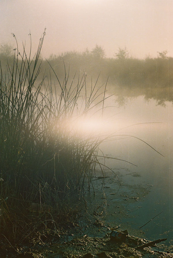"Sonechny zaychyk auf waza ....