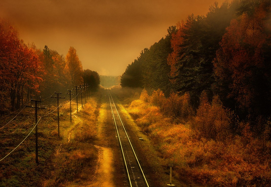 Ich habe oft an diese Träume wieder ...