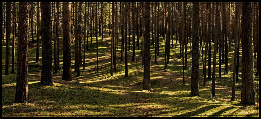 Das Spiel von Licht und Schatten.