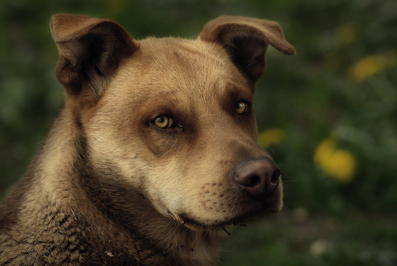 Wohnungslose Menschen die Augen
