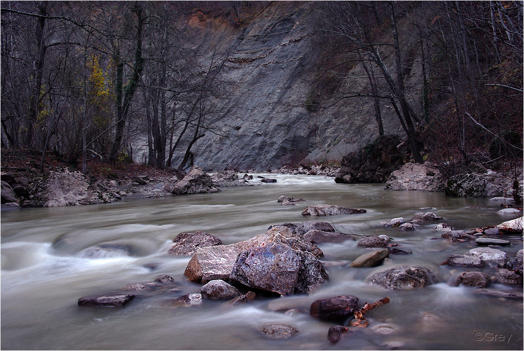 Muddy Waters im Dezember
