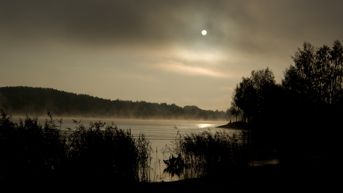 Sun Catcher * repost