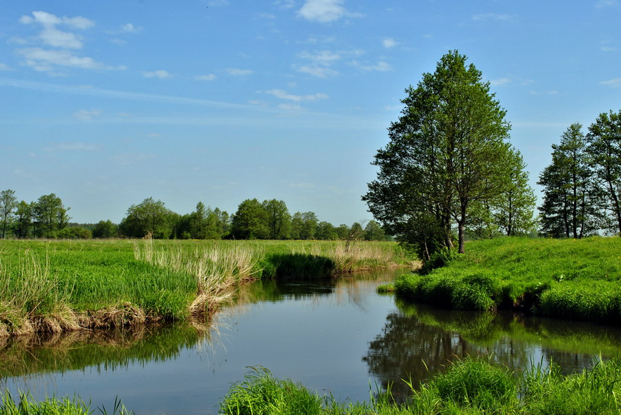 Morgen auf dem Fluss