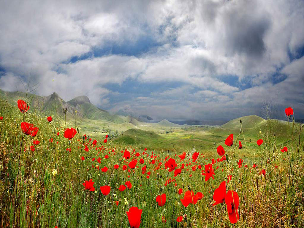 "... Ich liebe das Feld lag ..."*