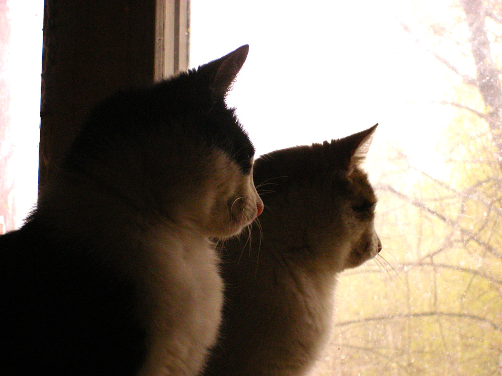 Hokusai und Gyulchataj