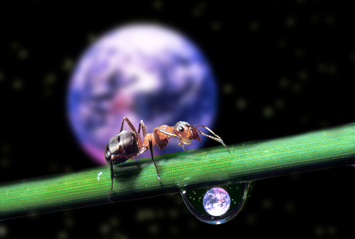 Welt in einem Tropfen Wasser