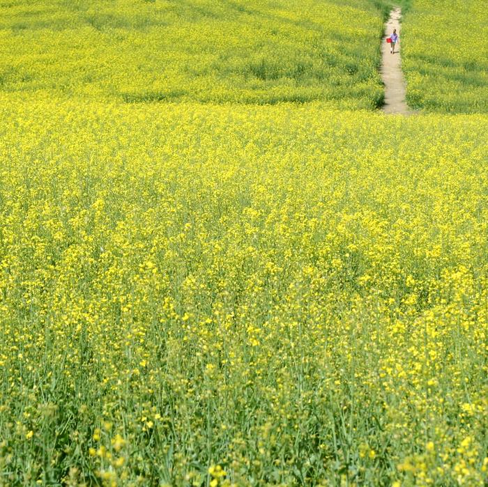 über seine Großmutter Torten