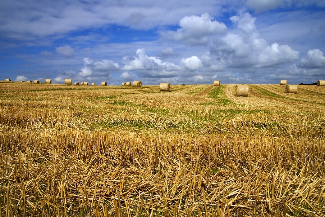 Flucht vor den Horizont